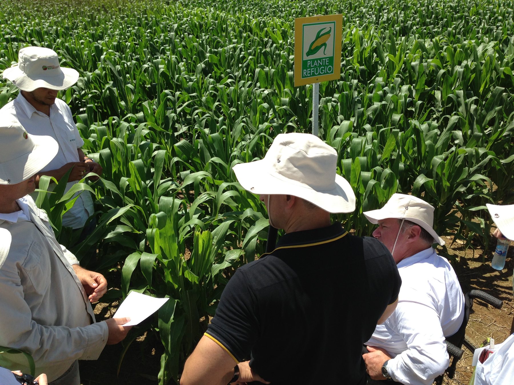 Agronomists discussing in a maize field by a refuge-planting sign