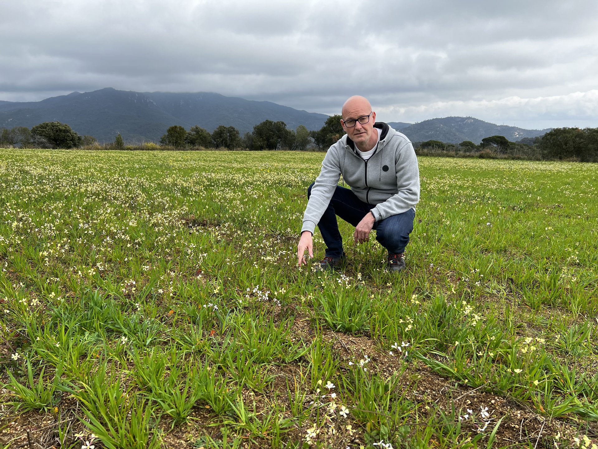 Michiel de Jongh in a field, examining a cover crop with mountains in the background
